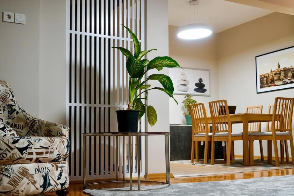 Meet Your Oasis