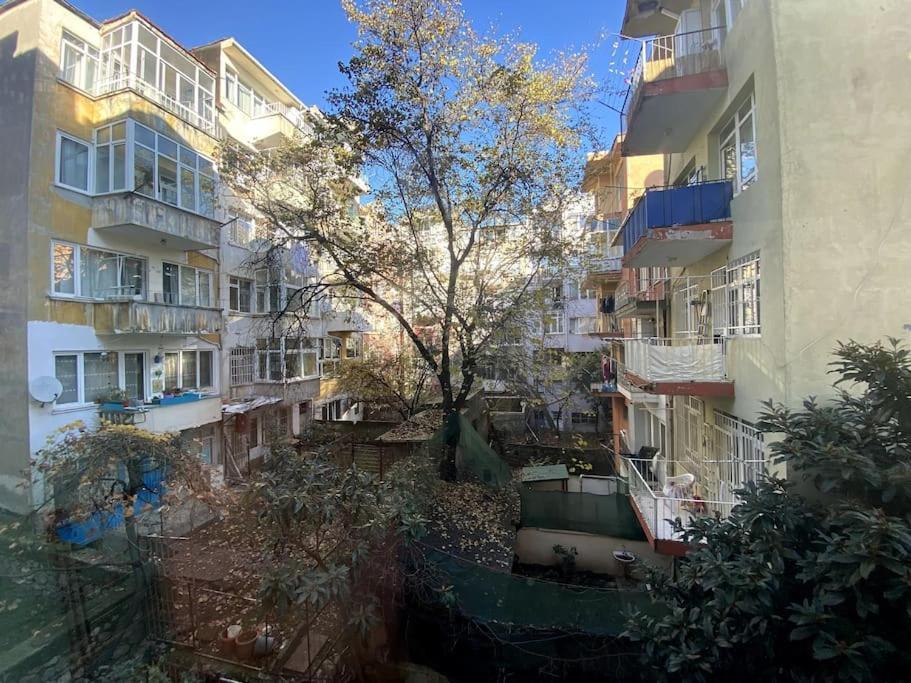 Meet Your Oasis Istanbul