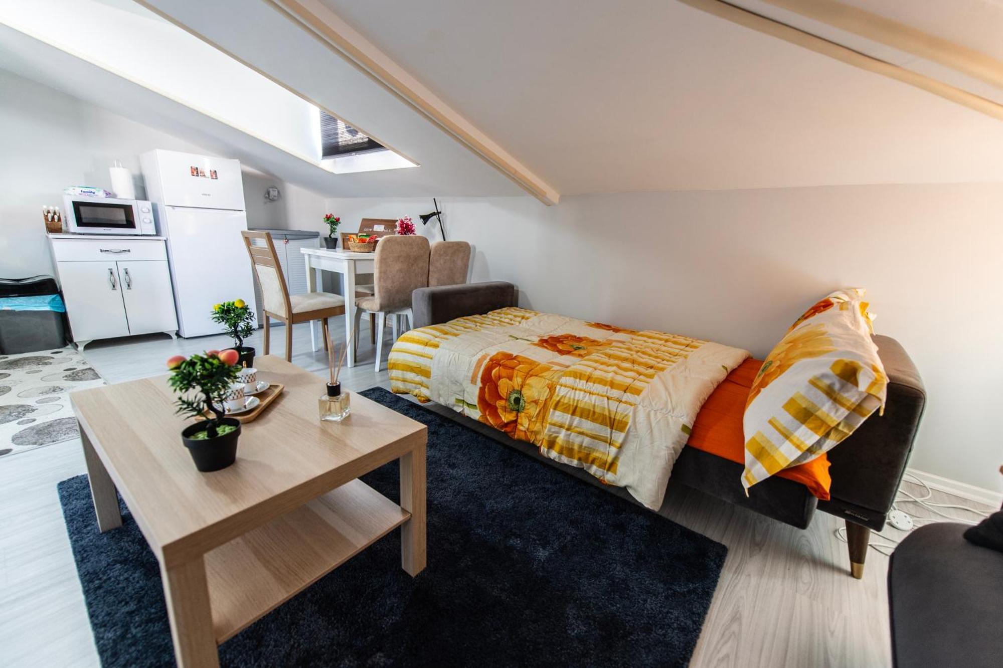 Dach Wochnung Mit Terrasse Homestay