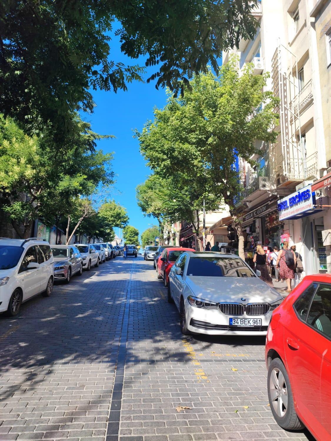 Fatih Erciyes 2* Istanbul
