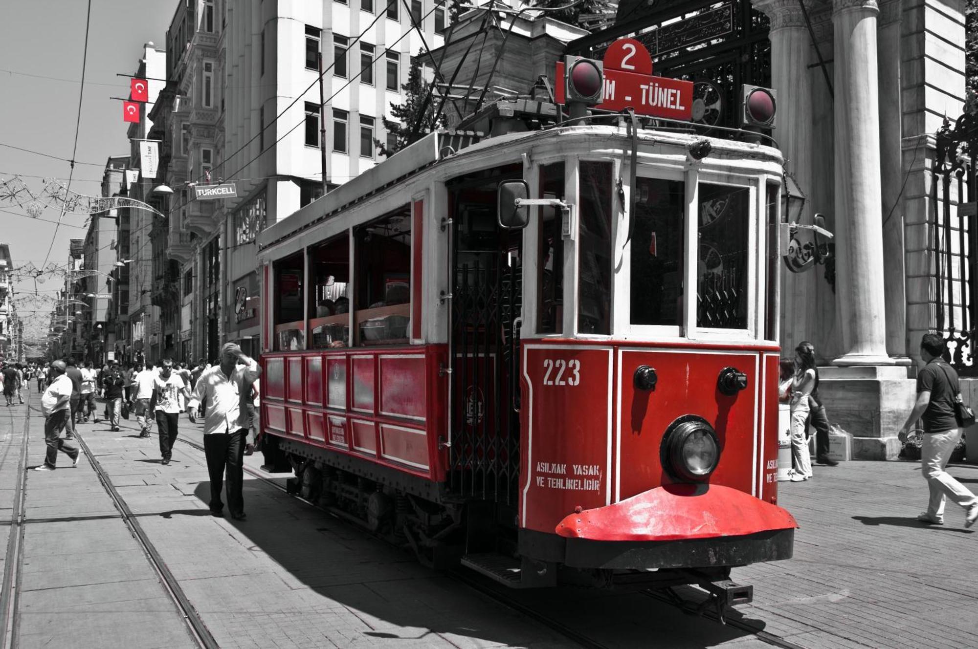 Jakaranda Istanbul