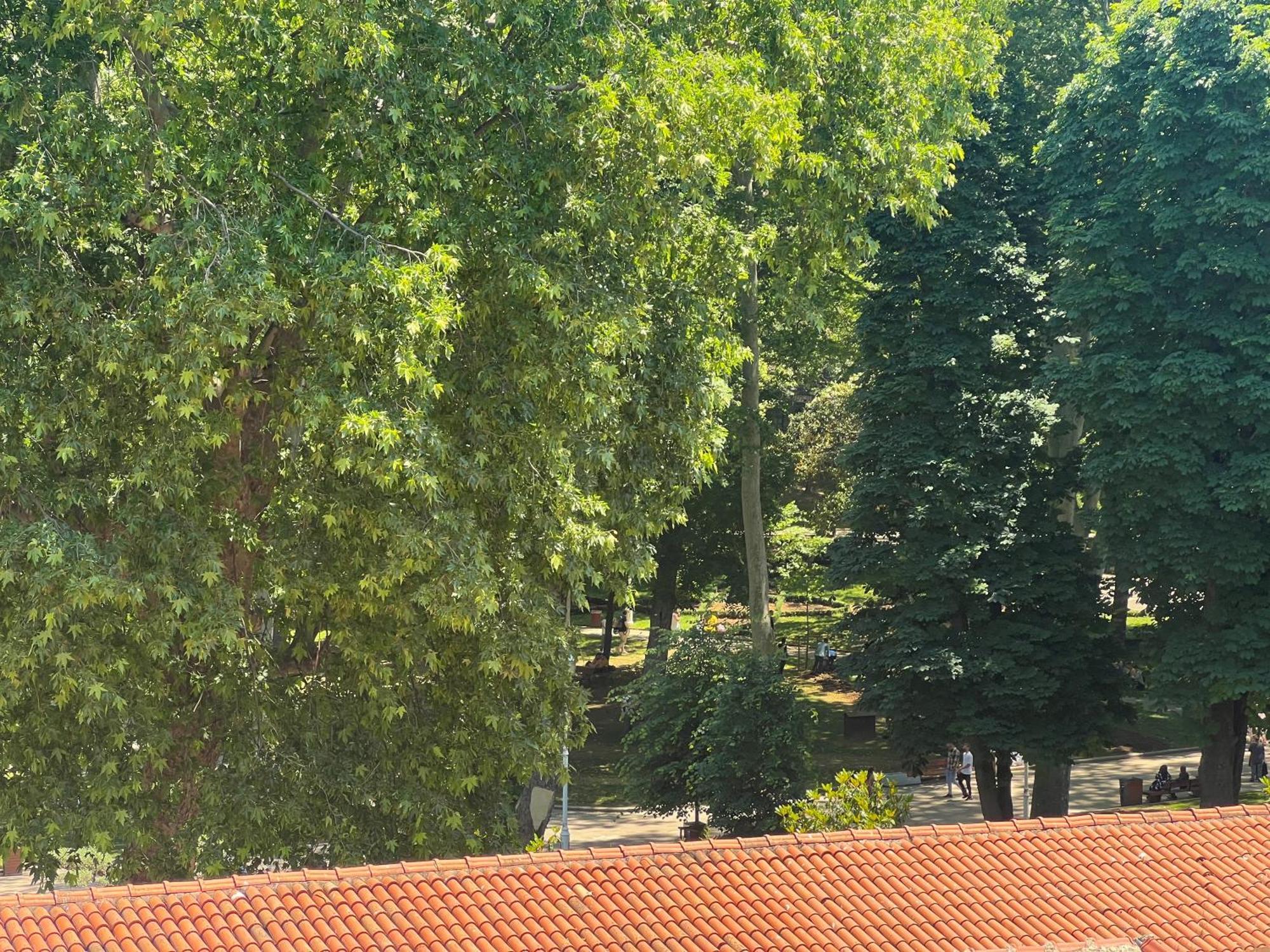 The Constantine Otel 3*
