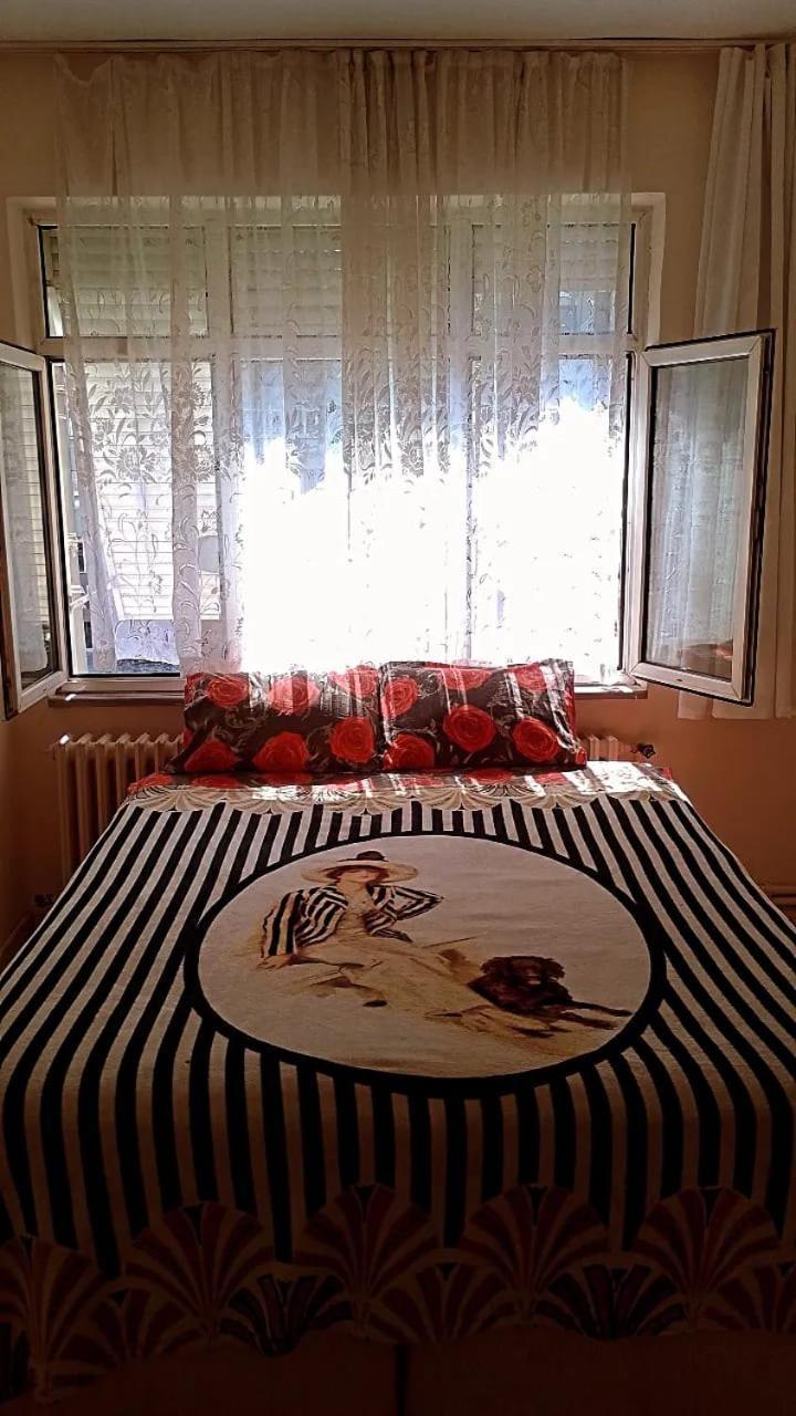 Homestay Arsel
