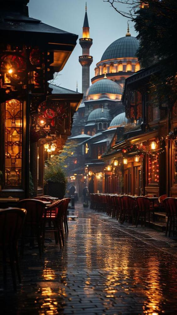 Rodin * Istanbul