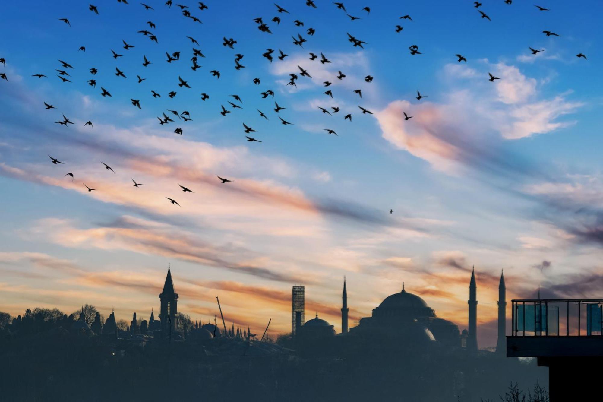 Bosphorus View-airport Shutle-high Speed Wifi-private Parking Apartment *