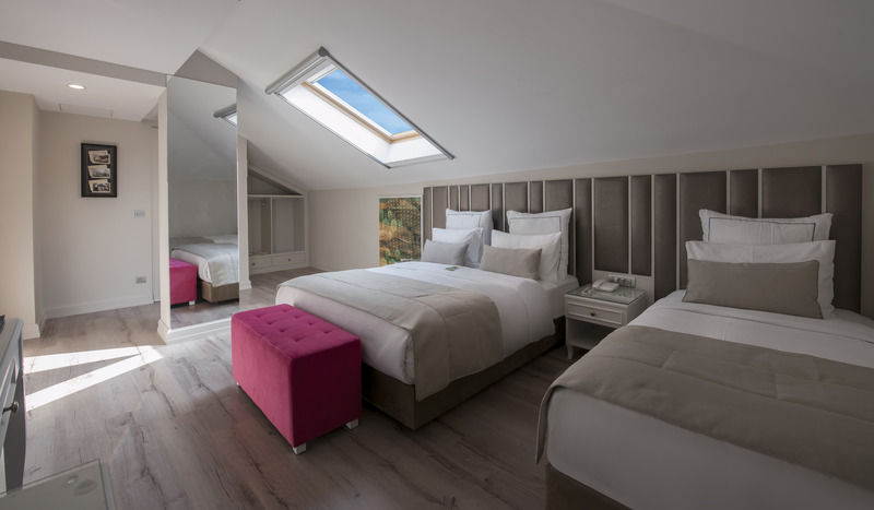 Le Petit Palace - Special Category