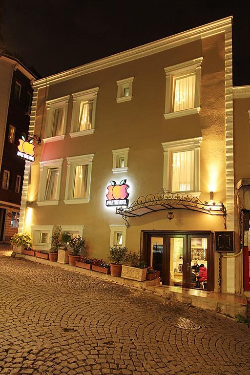 Apple Tree 3* Istambul