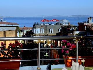 Hotel Eski