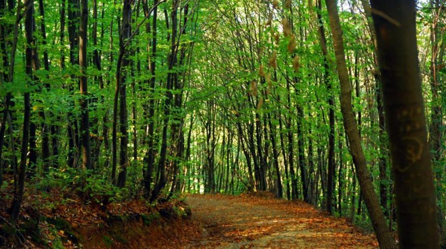 Park Polonezkoey Istanbul