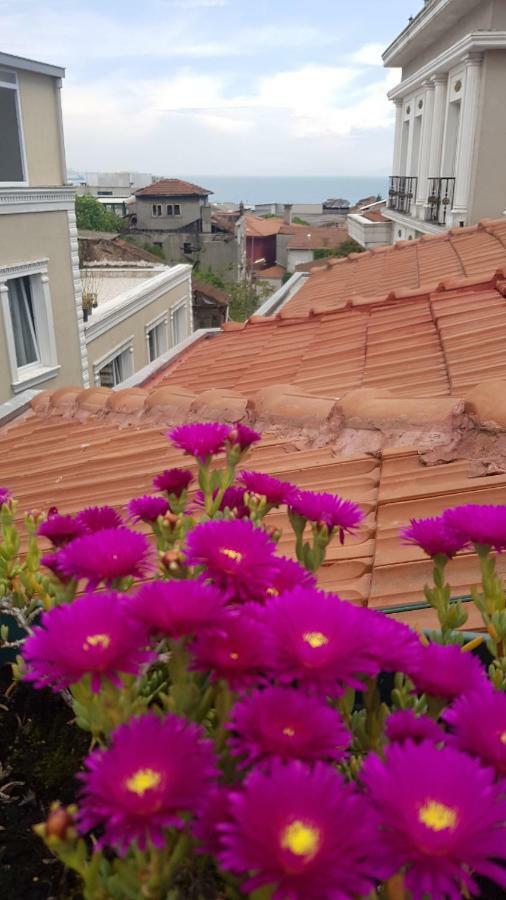 Blue Mosque Suites-old Sultanahmet *