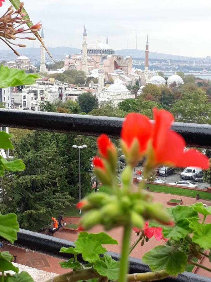Hotel Hali 3*