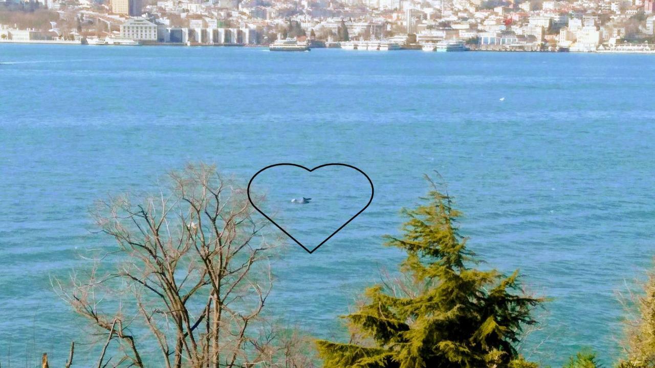 The Bosphorus Perch Apartamento Istambul